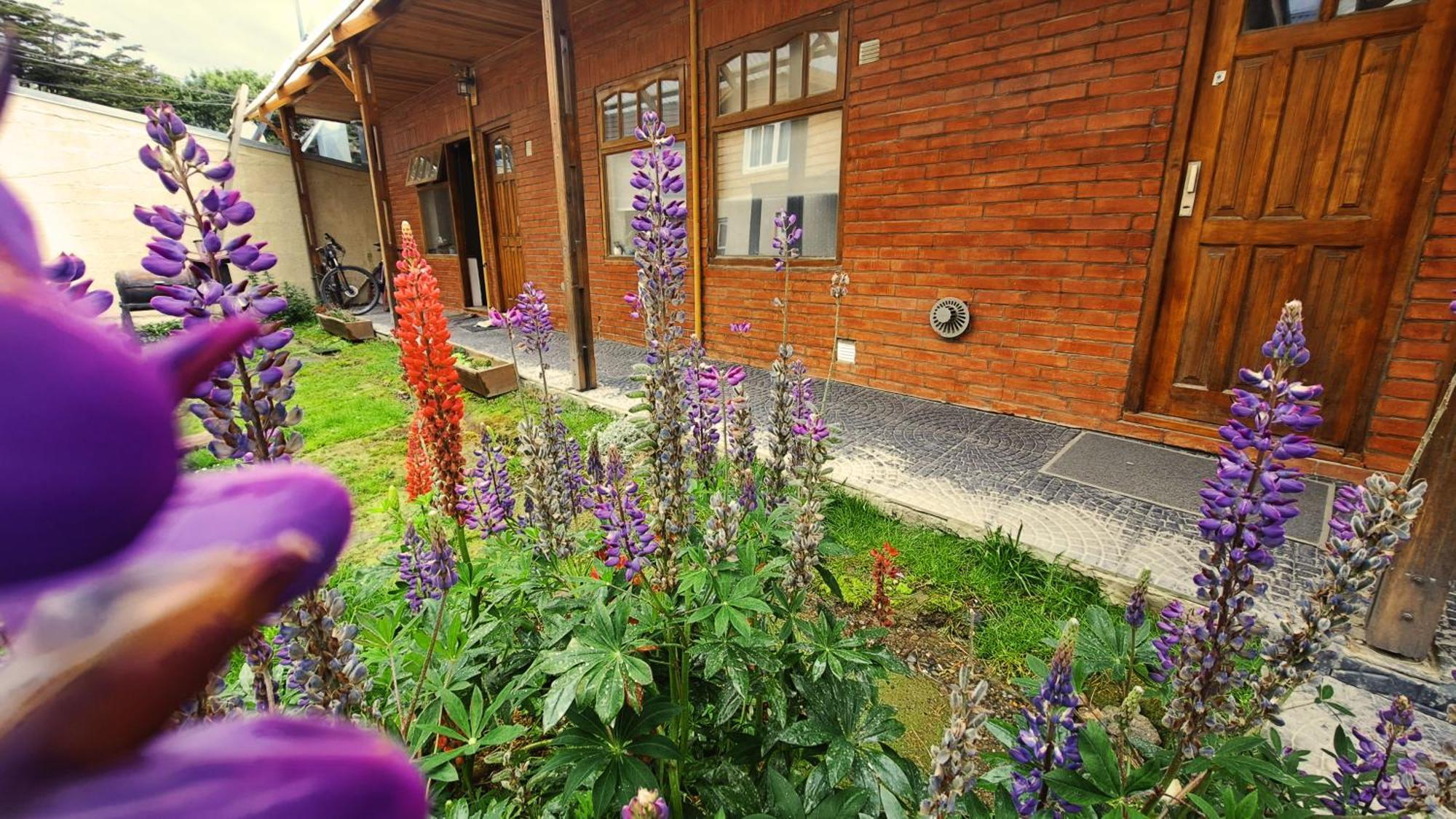 Ferienwohnung Terrazas Del Sur Ushuaia Exterior foto